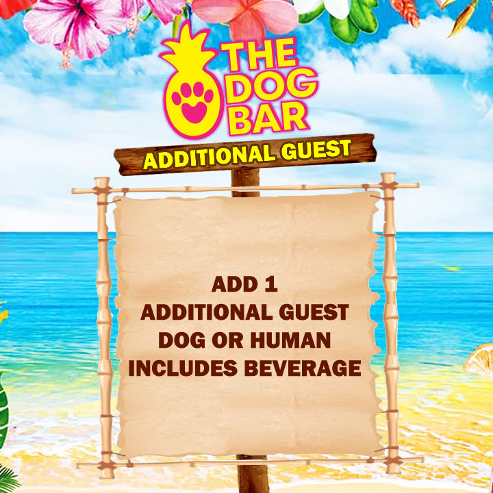 Additional Guest