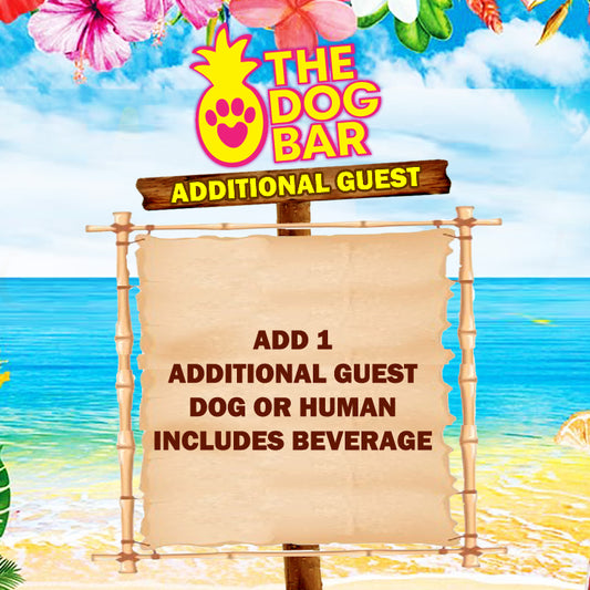 Additional Guest